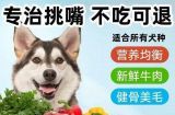 如何为宠物狗挑选适合的狗粮？（掌握正确的选购技巧，让狗狗吃得健康快乐！）